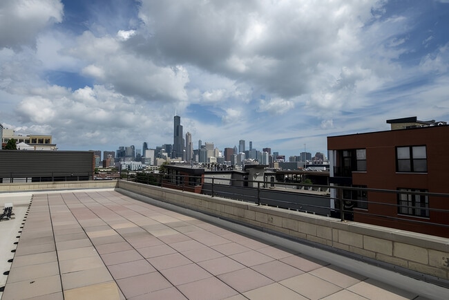 Building Photo - 1618 S Halsted St
