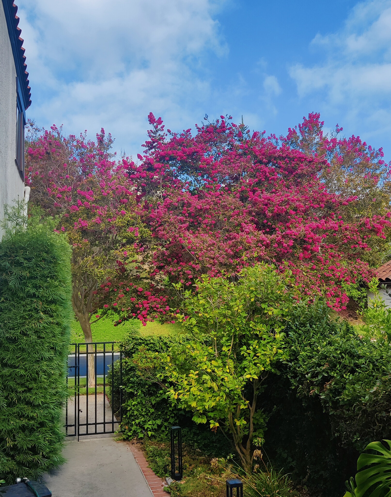 Building Photo - 17645 Rienzi Pl