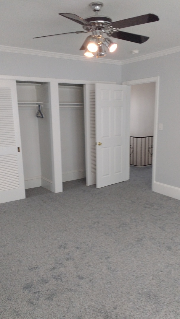 Building Photo - Providence- Stunning Elmwood Single Family...