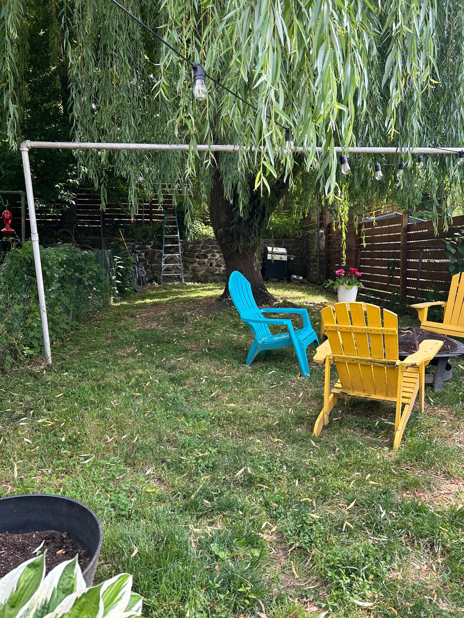 Partial back yard - 4161 Apple St