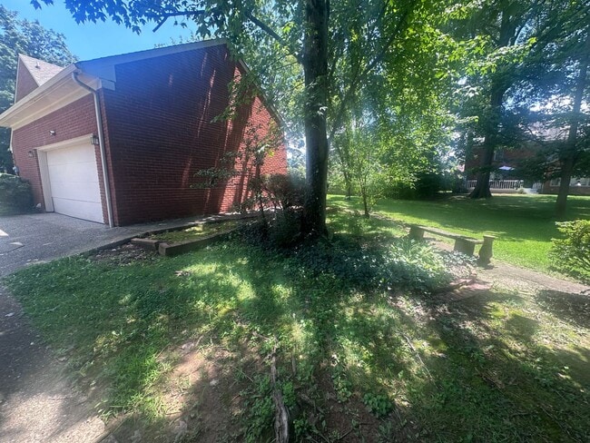 Building Photo - 1002 Juniper Springs Dr