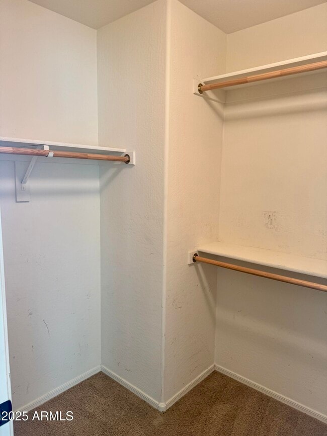 Building Photo - 3641 E Kingbird Pl