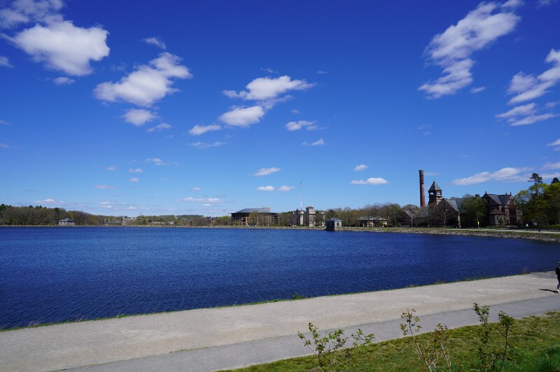 Building Photo - 42 Strathmore Rd