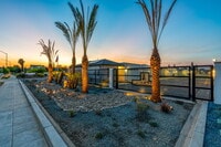 Building Photo - The Palms Luxury Condominiums