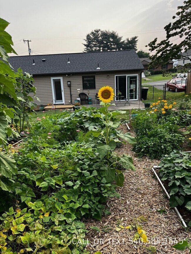 Building Photo - 3615 Ellen Dr