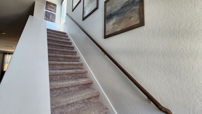 Building Photo - University Village -4bd, 2bth/Hausman Rd
