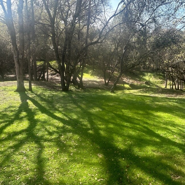 Building Photo - Beautiful Lake Wildwood Home with private back yard.