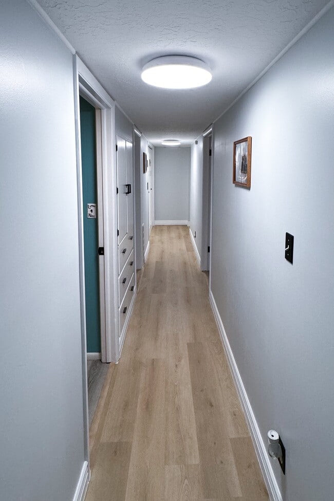 Building Photo - Cozy Basment/Lower Level Apartment
