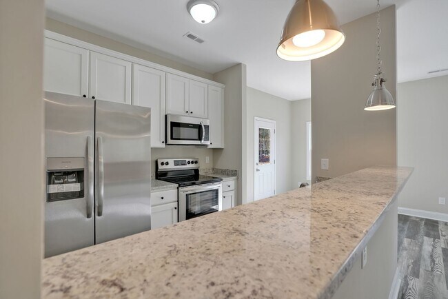 Building Photo - Beautiful  3 bed 2 bath Home in Hampstead