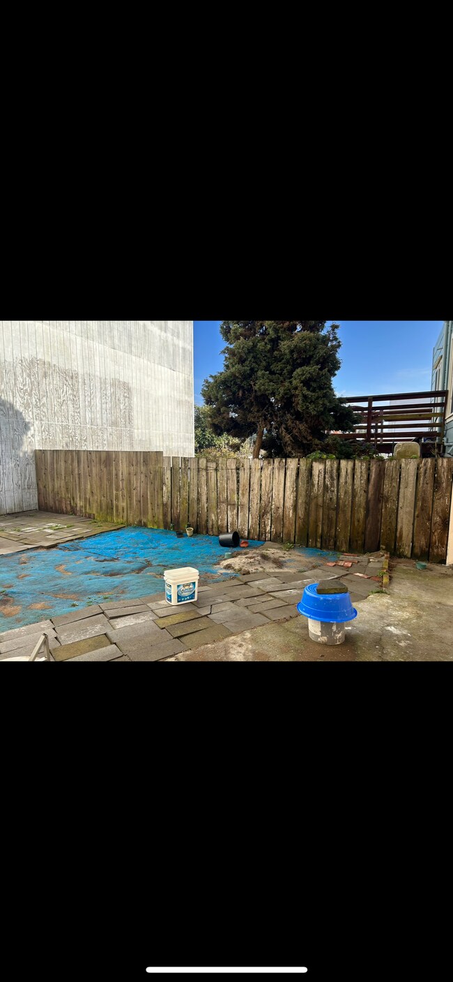 yard - 188 Ramsell St