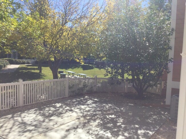 Huge private fenced patio faces greenspace - 2035 Grays Peak Dr