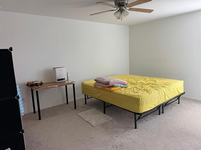 Building Photo - 3004 Harper St