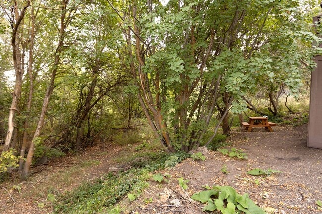 Building Photo - Ski season special, Month to month lease- ...