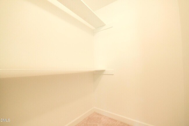 Building Photo - 3516 Casine Ct