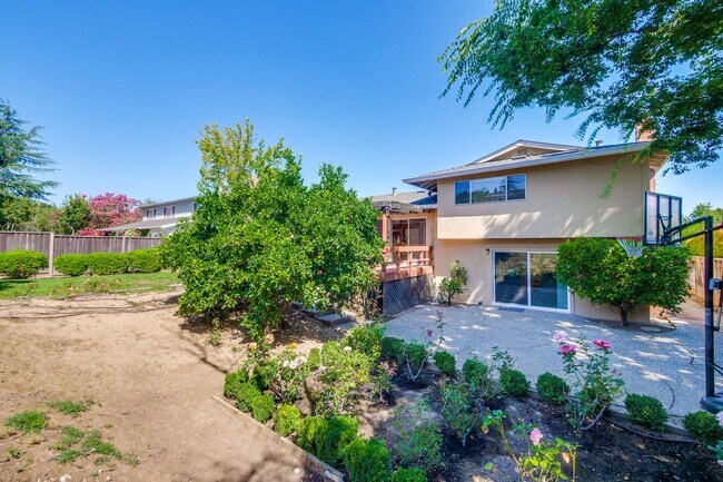 Building Photo - Large Landscaped Backyard! Fruit Trees