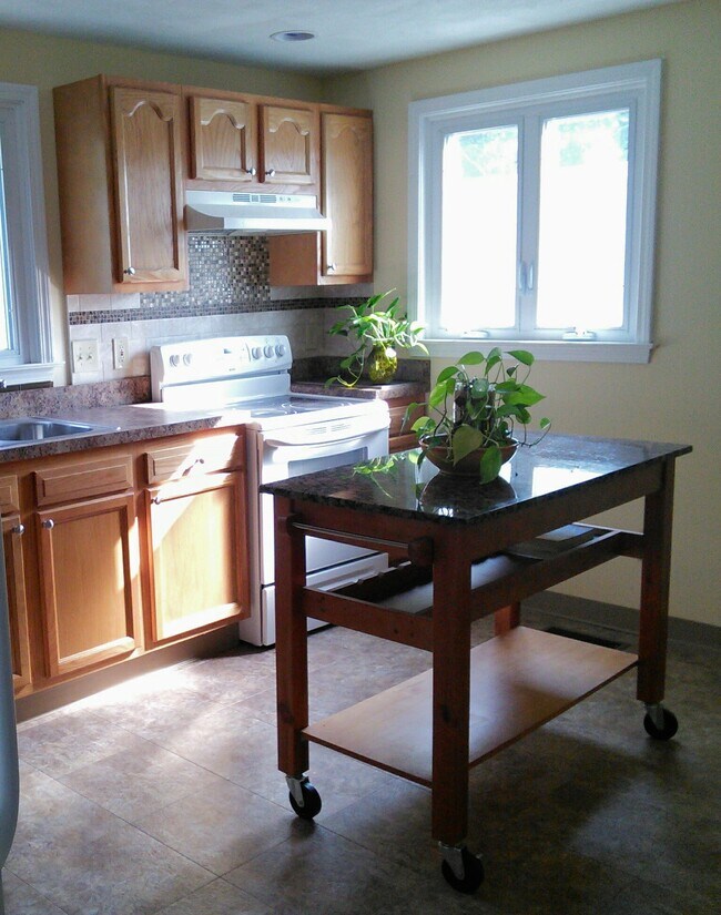 Fully loaded, new fridge and dishwasher - 715 N Mcbride St
