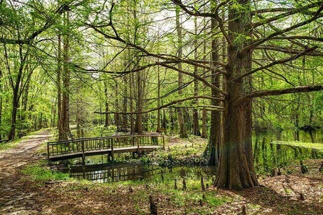 Building Photo - 4033 Lake Russell Dr