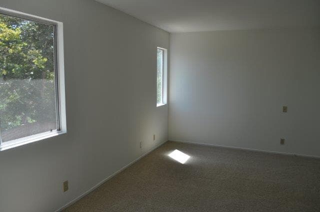 Building Photo - 2174 Shadetree Ln