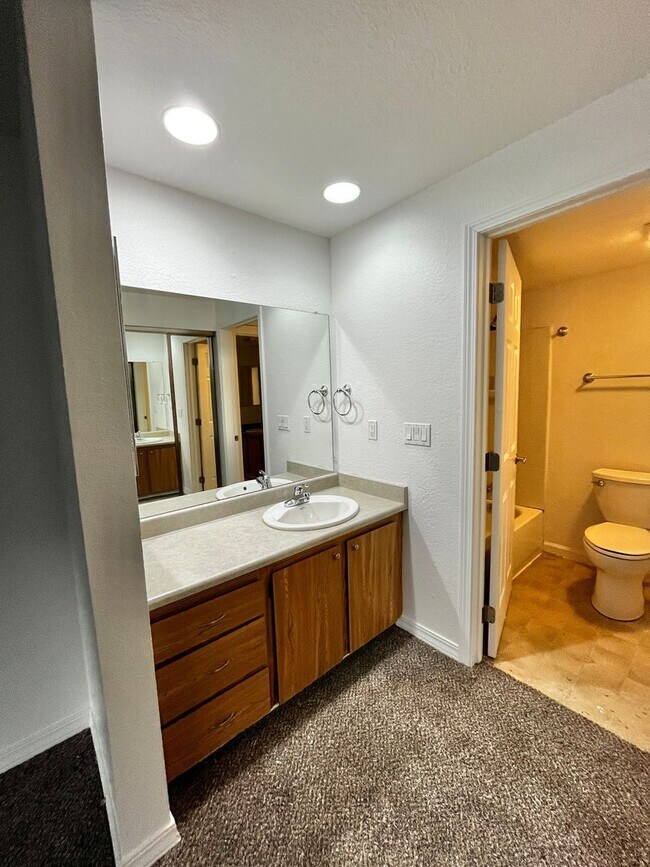 Building Photo - Fresh Paint and New Carpet in this Sunn Fjord Condo!