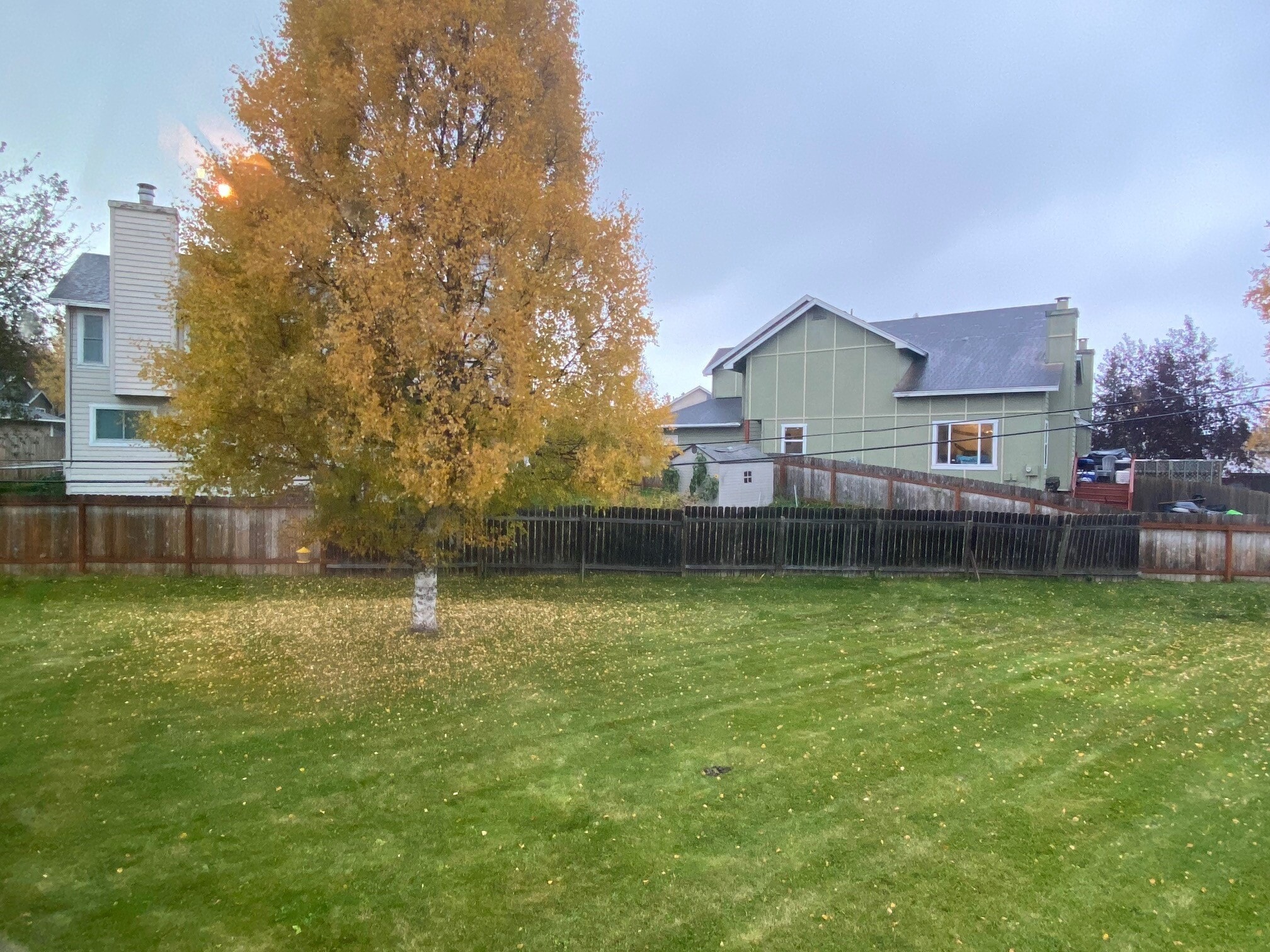 backyard - 9001 Shaun Landing Cir