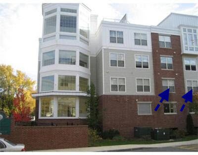 Blue arrows indicate window (elevated from street level facing courtyard) - 7 Ballister Street