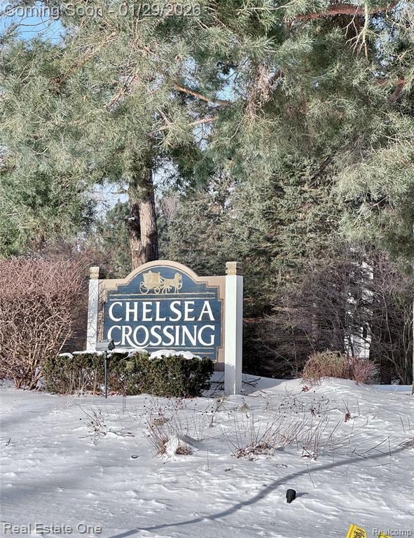 Building Photo - 37375 Chelsea Ln