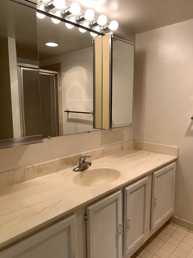 Master bathroom with updated shower - 807 N Howard St