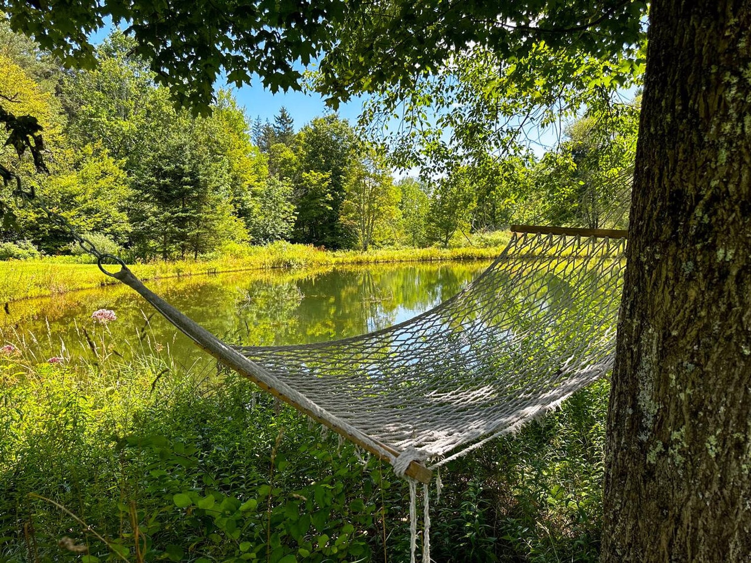 Building Photo - 614 Sanford Hollow Rd