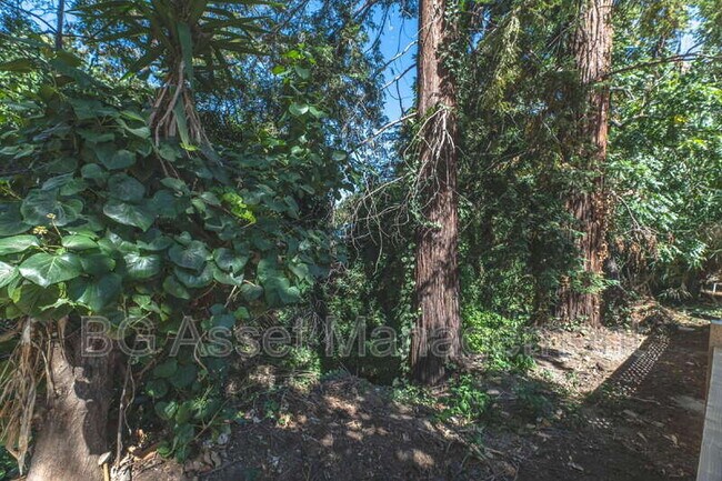 Building Photo - 2807 Sabral Cir