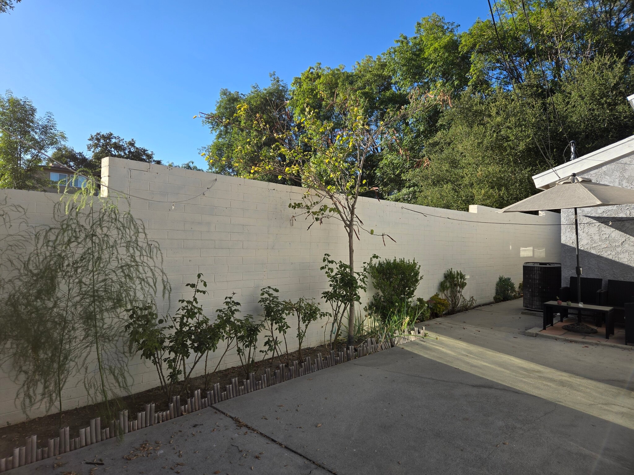 Back yard - 3439 1/2 Altura Ave