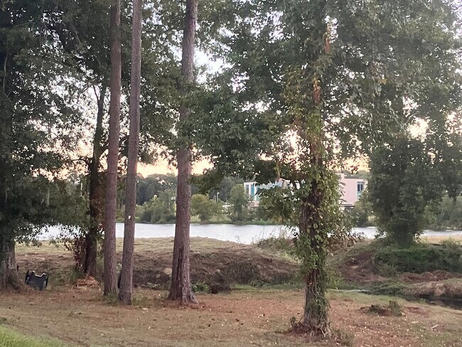 Building Photo - 164 Golden Meadow Dr