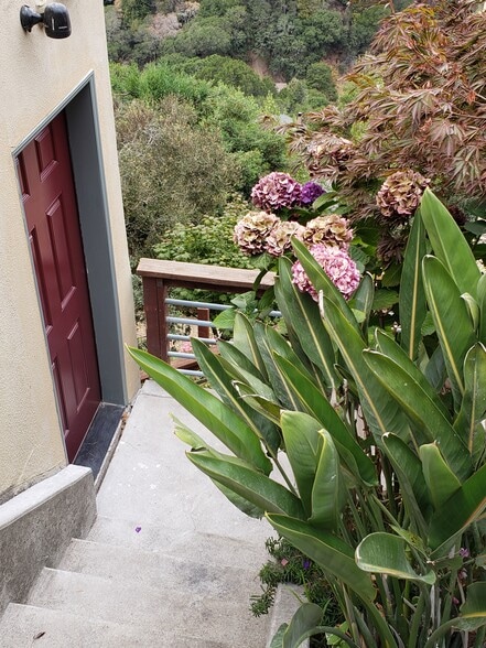 Exterior entrance - 1117 Alvarado Rd