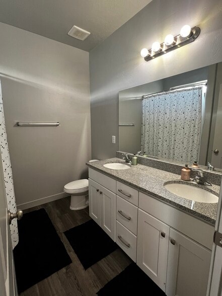 main bathroom - 1018 W Cyan Valley Way