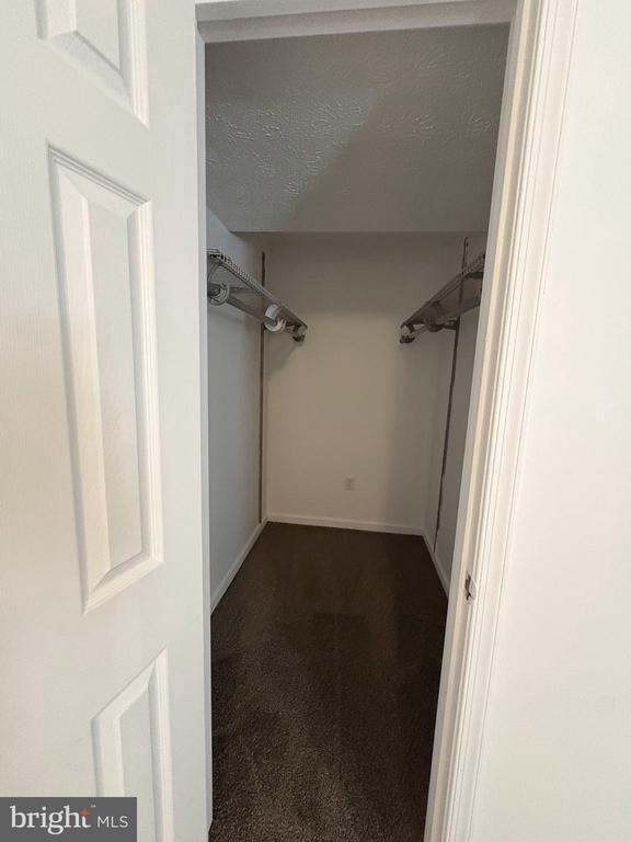 Building Photo - 8316 Widgeon Pl