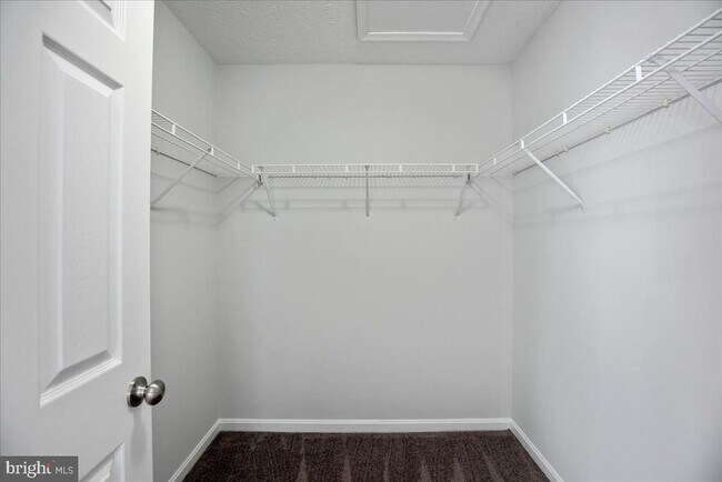 Building Photo - 8000 Delores Ct