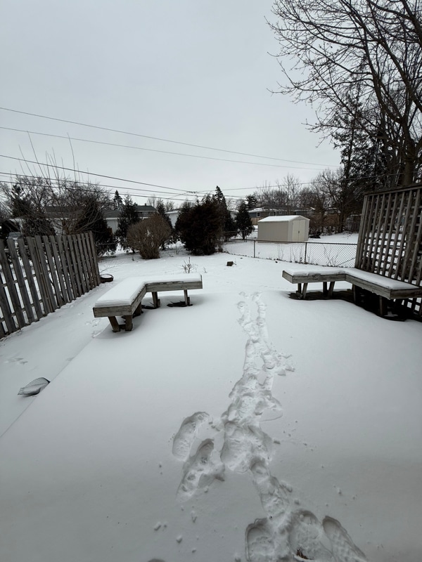 Building Photo - 404 Elmwood Dr