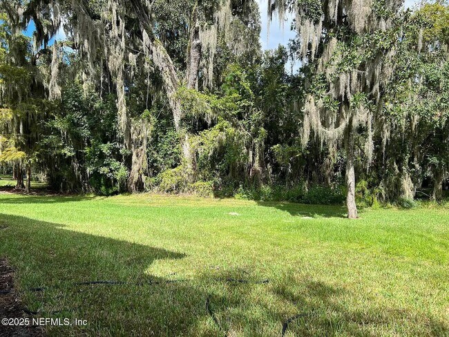 Building Photo - 3563 Twisted Tree Ln