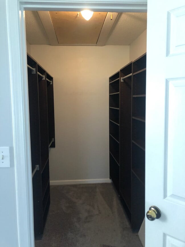 Building Photo - 2584 Emerald Ct