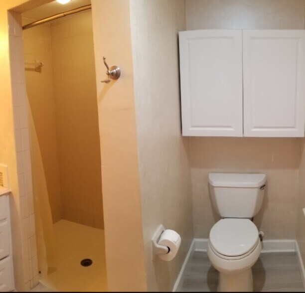 Walk-in shower - 18717 Hamilton St