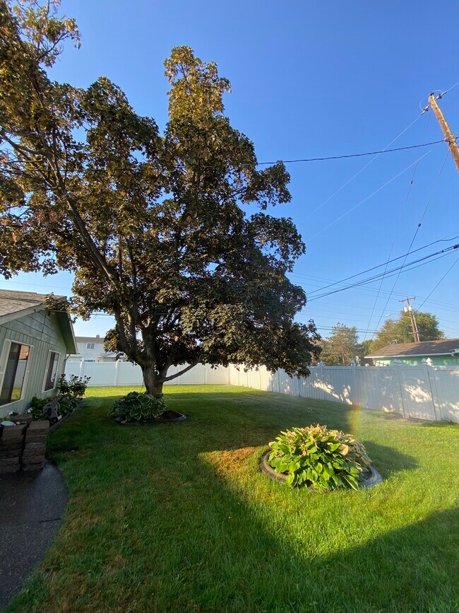 Large backyard - 330 S Reed St