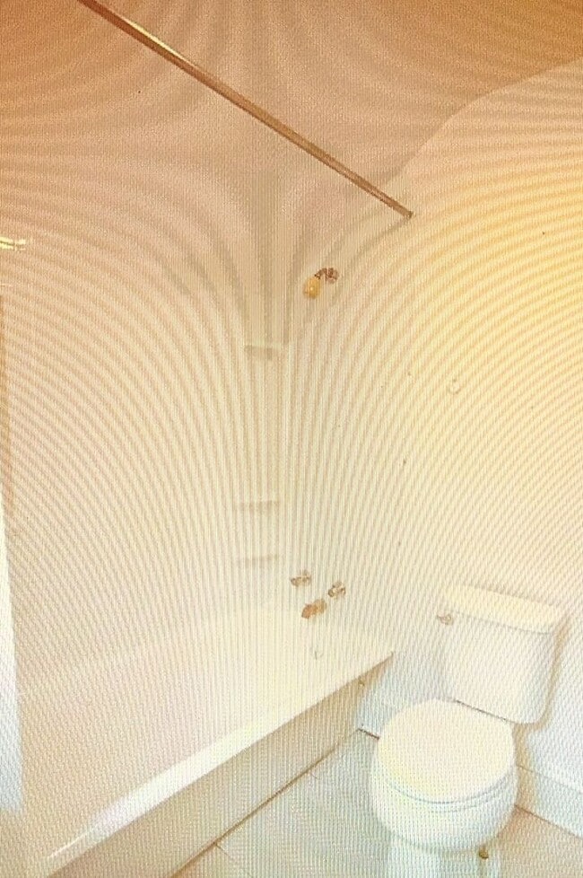 Building Photo - Minutes to Campus / 5 Bedroom / 2 Bathroom