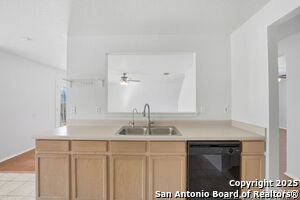 Building Photo - 535 Centro Hermosa