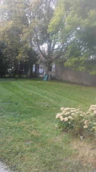 backyard shared - 508 Cross St