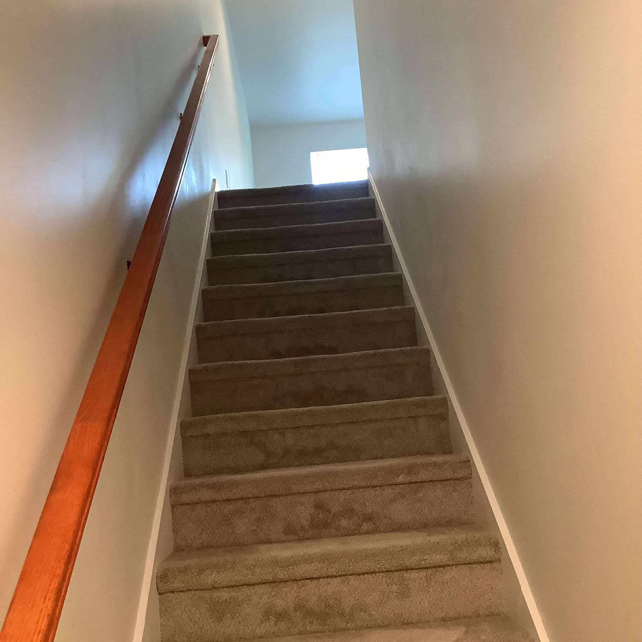 Stairwell - 2417 Snyder Ave