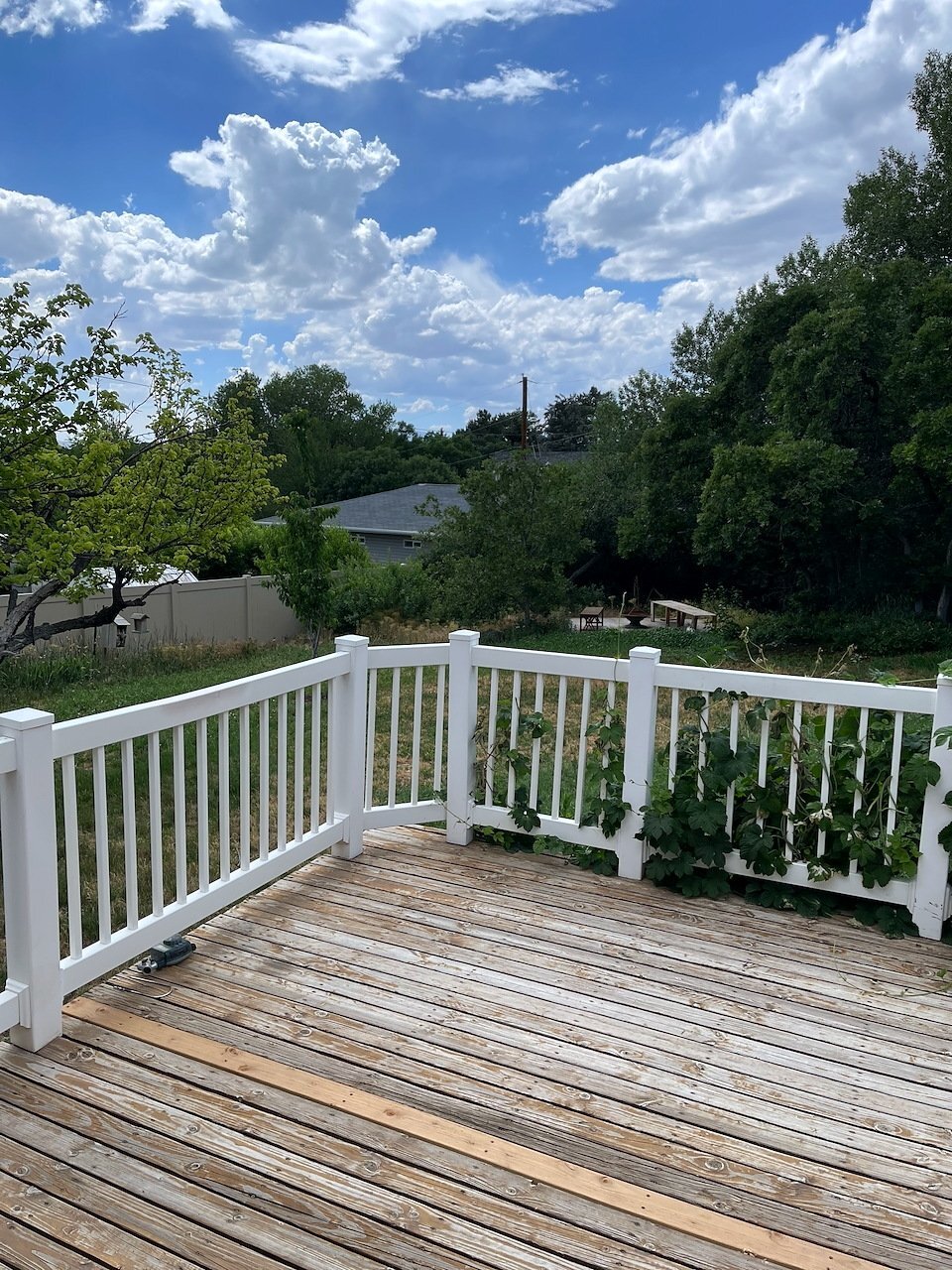 Building Photo - 1097 Grove Creek Dr