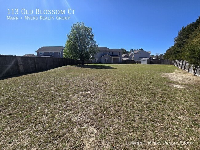 Building Photo - 113 Old Blossom Ct