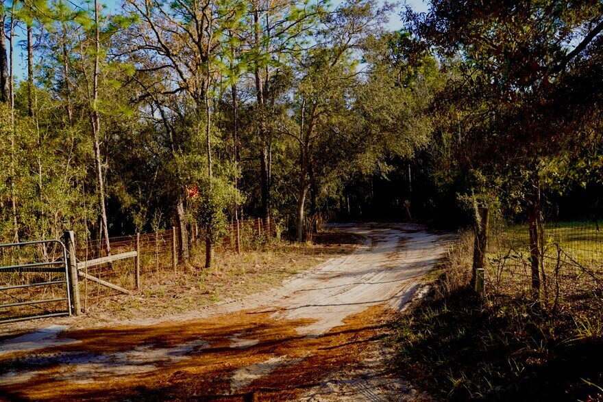 Building Photo - 29205 Saddle Oaks Ln