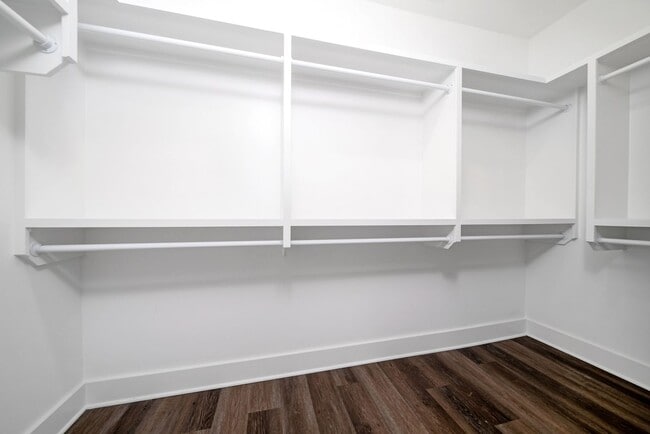 Building Photo - Stunning 2BE/2.5BA townhome next to Percy ...