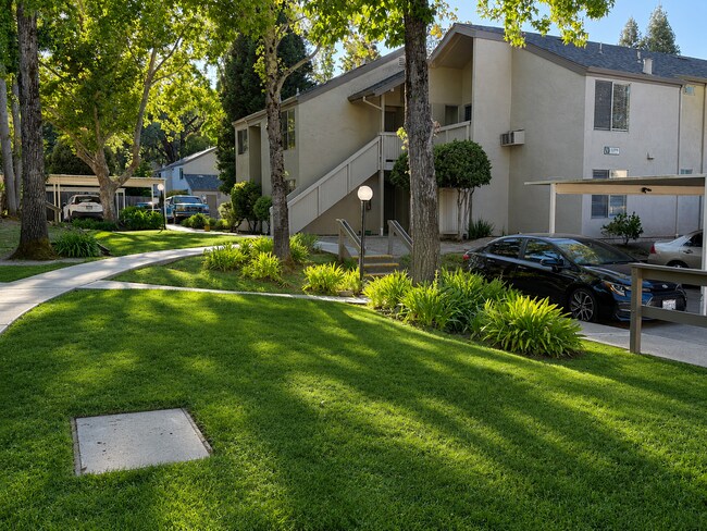 Building Photo - 997 Madrone Rd