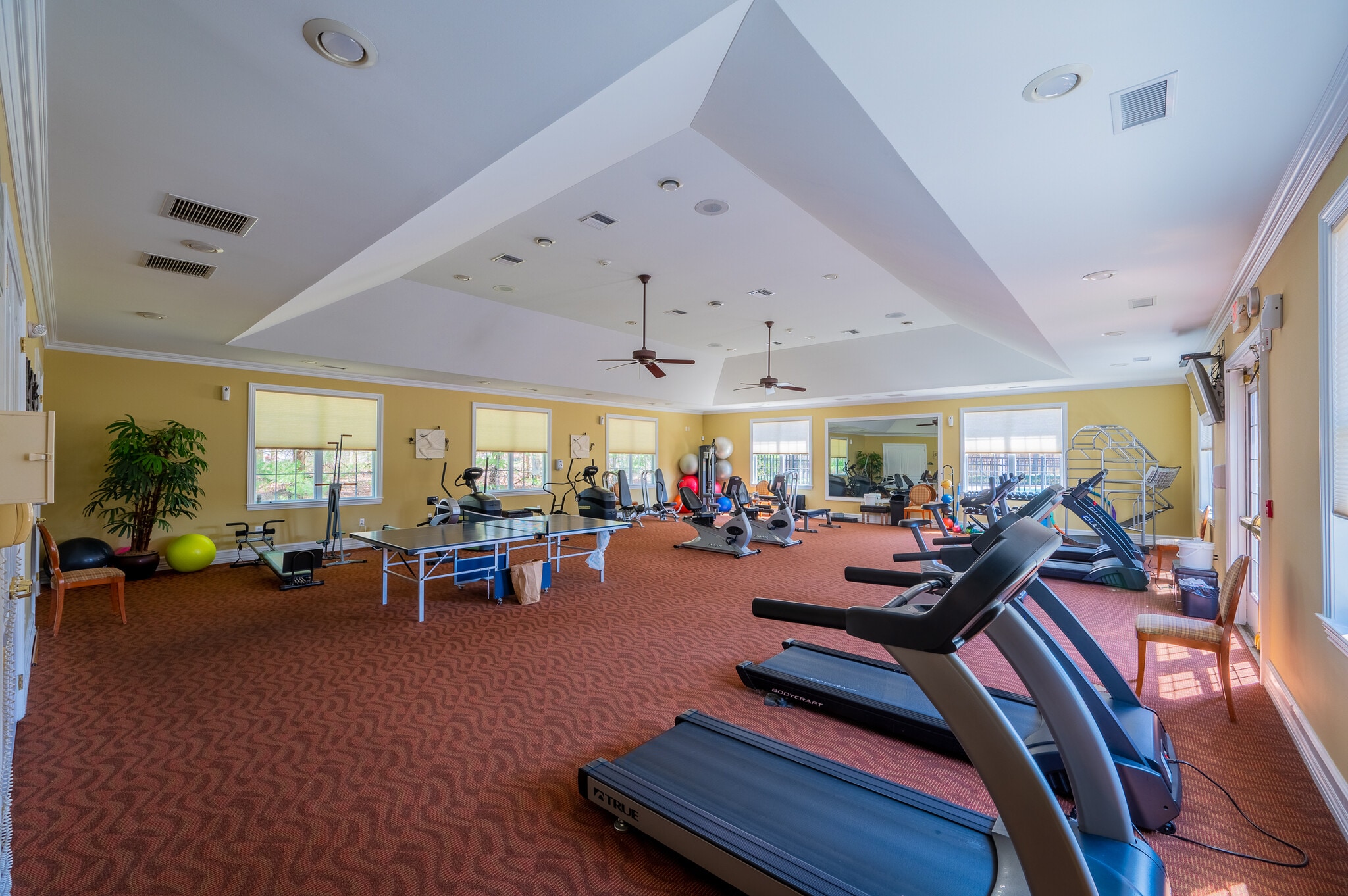 Gym - 539 Sophee Ln